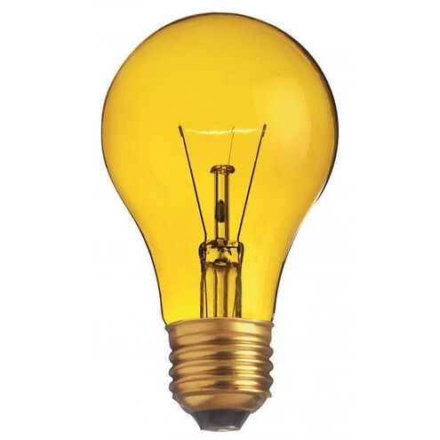 Lumos Incandescent A19 Medium E26 25 watt 130V Light Bulb