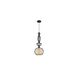 YS Series 10 inch Pendant Ceiling Light, Black Metal Cage