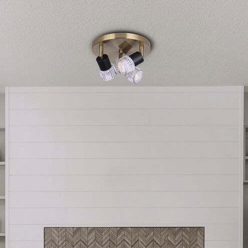 Elsee 3 Light Black/Gold Track Lighting Ceiling Light
