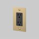 1G Duplex 125 Brass Outlet