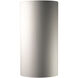 Ambiance Cylinder LED 21 inch Bisque Outdoor Wall Sconce, Really Big
