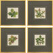 Leaf Imprint Green and Brown and Multi and Rust Framed Art