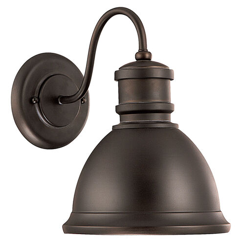 Outdoor 1 Light 13 inch Old Bronze Outdoor Wall Lantern