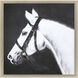 Animals Collection Black Framed Art