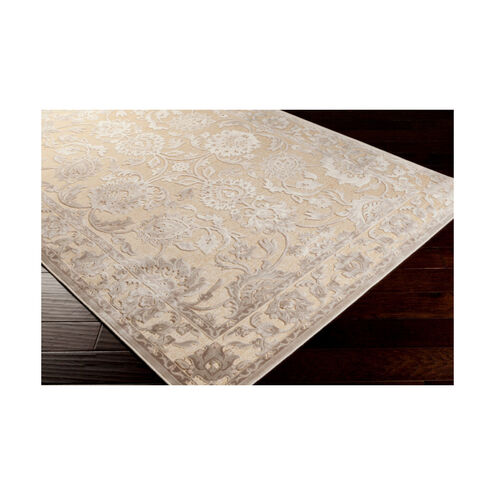 Eusebius 90 X 62 inch Beige/Taupe/Khaki Rugs, Viscose and Chenille