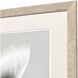 Neutral Nautilus Gray and Beige and Multi and Neutral Framed Art, Propac