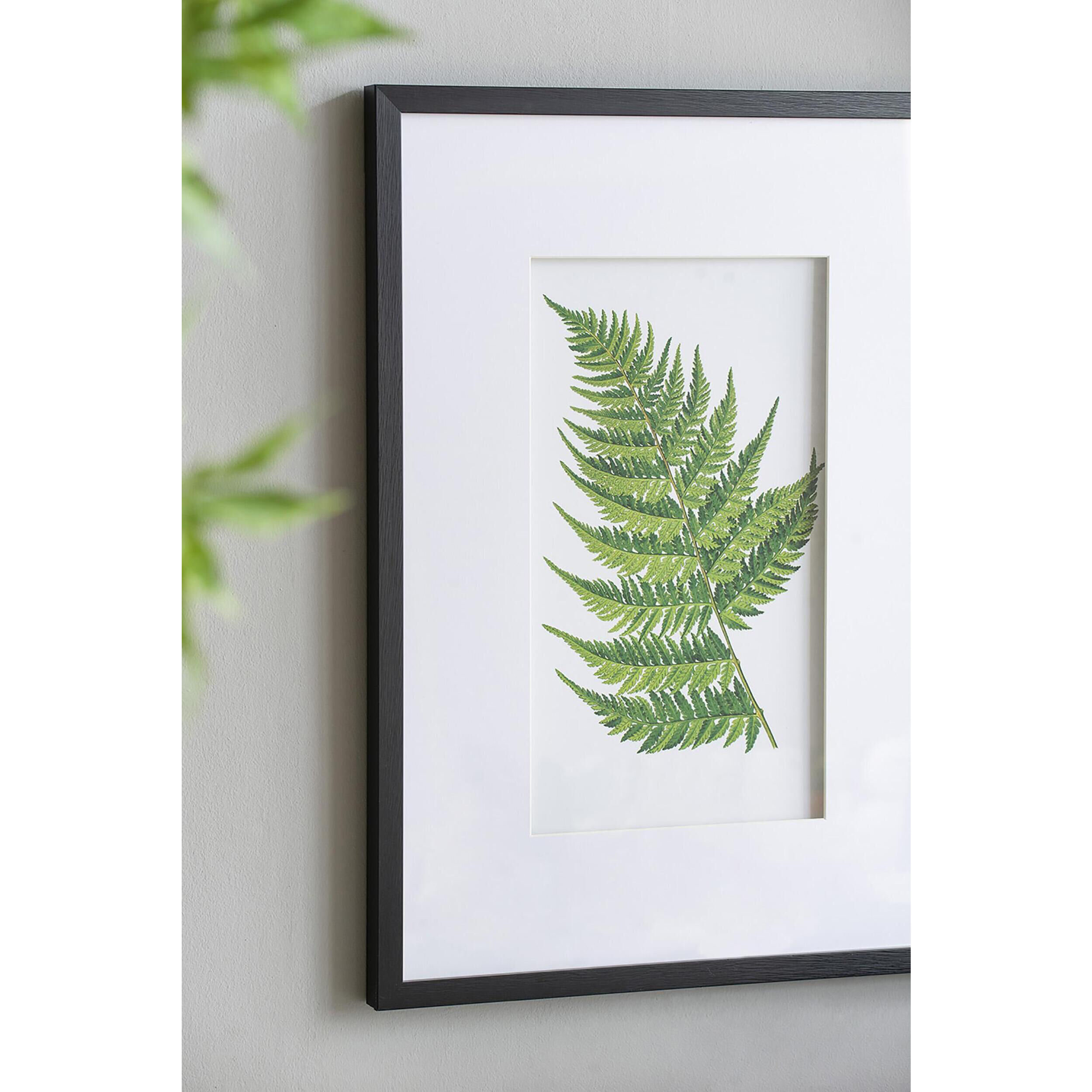 Anita Black/White Wall Art