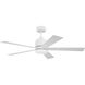 McCoy 52 inch White Fan