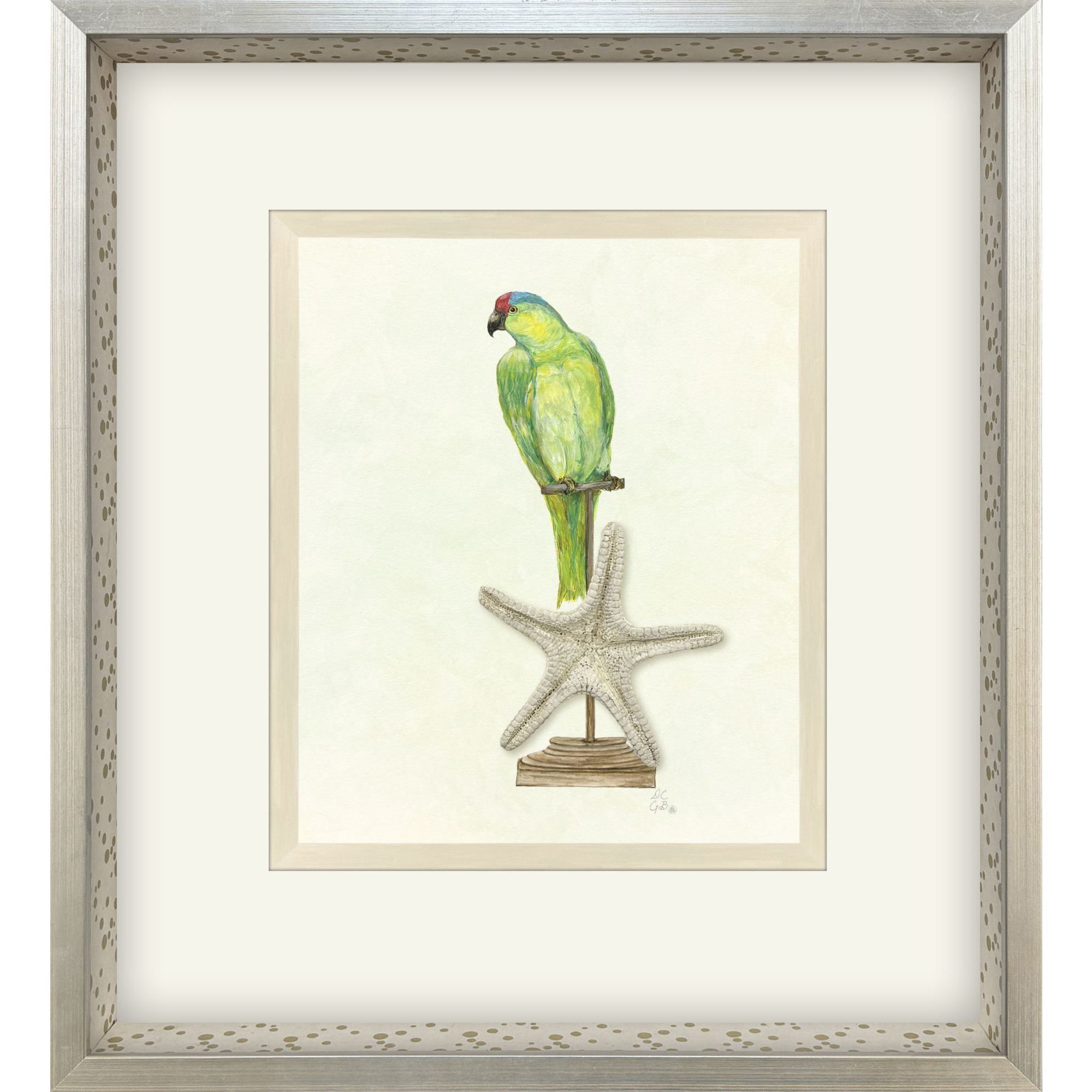 Treasure Parrot Blue and Green and Multi and Yellow Framed Art