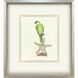 Treasure Parrot Blue and Green and Multi and Yellow Framed Art