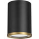 Arlo 1 Light 5.25 inch Matte Black and Rubbed Brass Flush Mount Ceiling Light