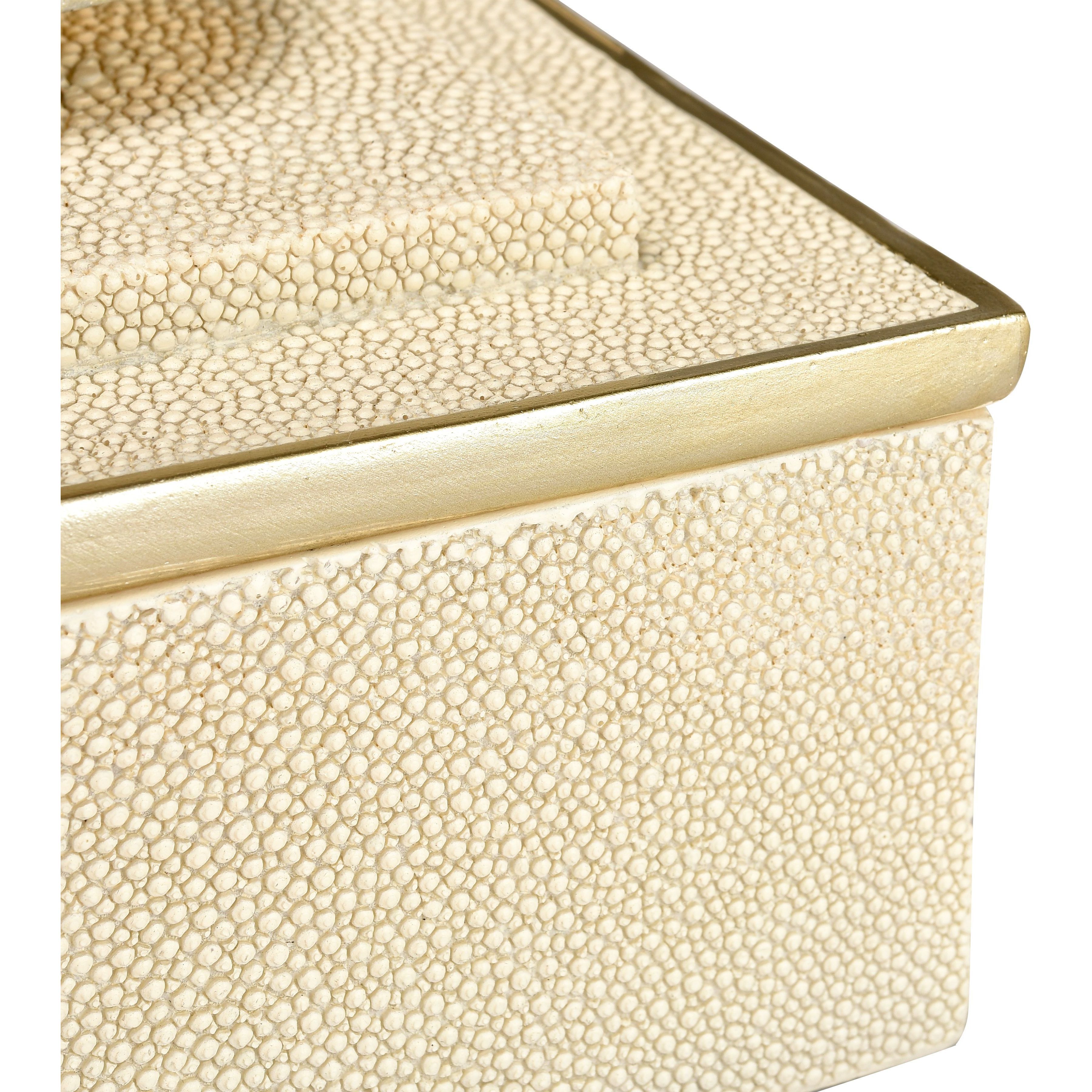 Brenner 5.25 X 5.25 inch Ivory with Brown Box, Set of 2