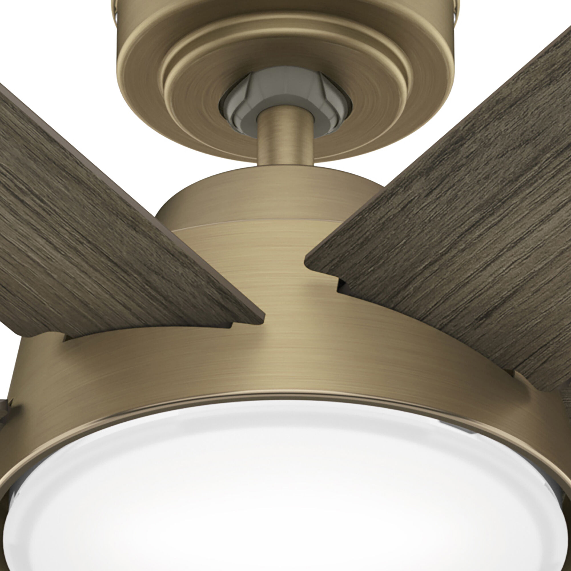 Donatella 52 inch Burnished Brass with Warm Grey Oak Blades Ceiling Fan