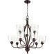 Jardin 9 Light 30 inch Oiled Bronze Chandelier Ceiling Light in Clear Seeded