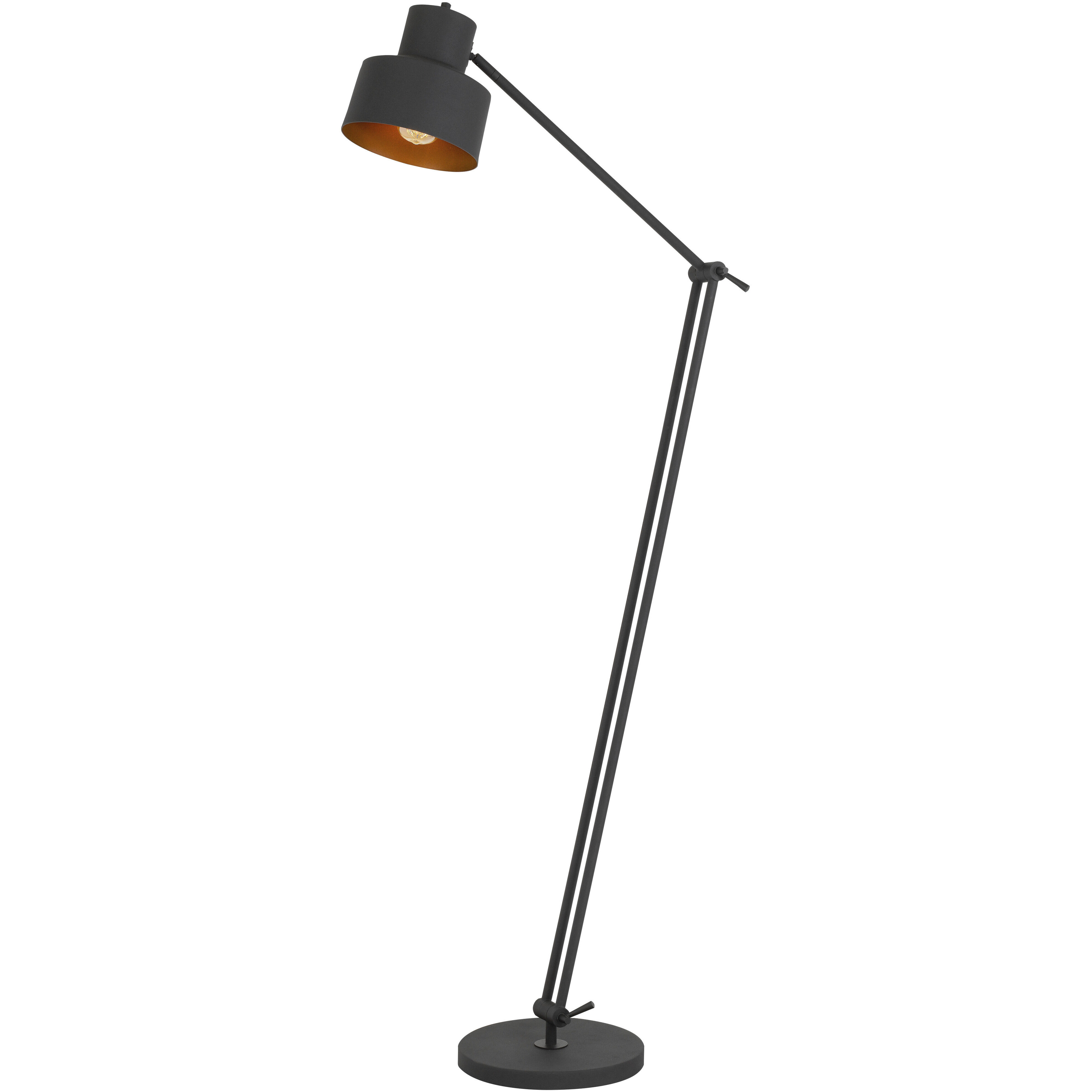 Davidson 65 inch 60.00 watt Matte Black Floor Lamp Portable Light