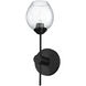 Abii 1 Light 4.75 inch Matte Black with Clear Decorative Wall Light