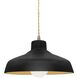 Radiance 1 Light 11.5 inch Carbon Matte Black and Champagne Gold and Antique Brass Pendant Ceiling Light