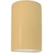 Ambiance 1 Light 5.75 inch Muted Yellow Wall Sconce Wall Light