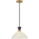 Simon 1 Light 13 inch Black with Heritage Brass Pendant Ceiling Light in Cased Opal