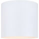 Agna 1 Light 8 inch Matte White Flush Mount Ceiling Light
