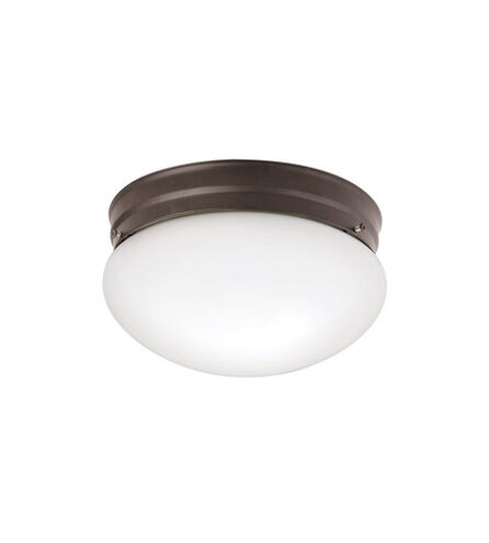 Ceiling Space 2 Light 9 inch Olde Bronze Flush Mount Light Ceiling Light