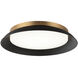 Finley Wall Sconce Wall Light in Matte Black and Aged Gold Brass