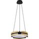 Grazia LED 15 inch Matte Black and Brushed Gold Convertible Pendant Ceiling Light