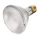 Lumos HID PAR30 Medium E26 70 watt 3000K Light Bulb