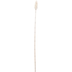 Corn Leaf Stem 58.00 inch  X 3.00 inch Decorative Object & Figurine