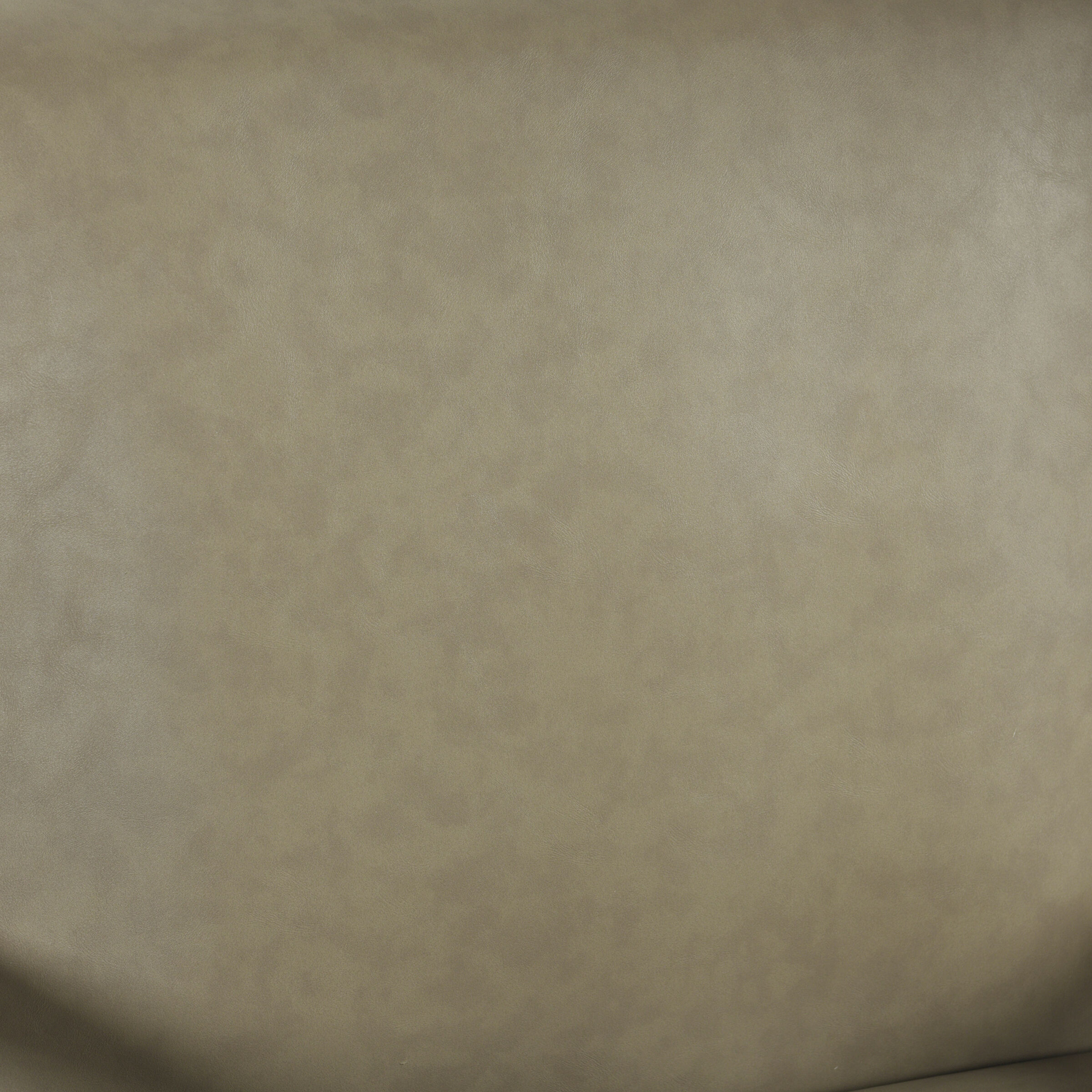 John Tan and Satin Gold Arm Chair