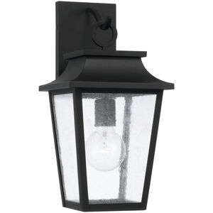 Chandler Outdoor Wall Lantern