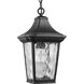 Marquette 1 Light 9 inch Textured Black Outdoor Hanging Lantern, with DURASHIELD