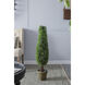 Boxwood Green Faux Plant