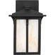Tomek 1 Light 10.63 inch Black Outdoor Wall Lantern in Champagne Glass, Small