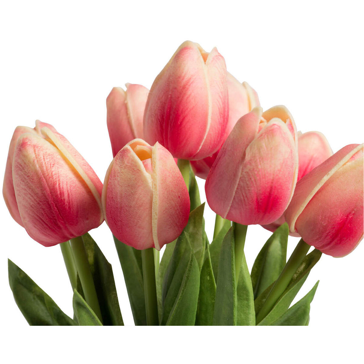 Almost Real White Stems