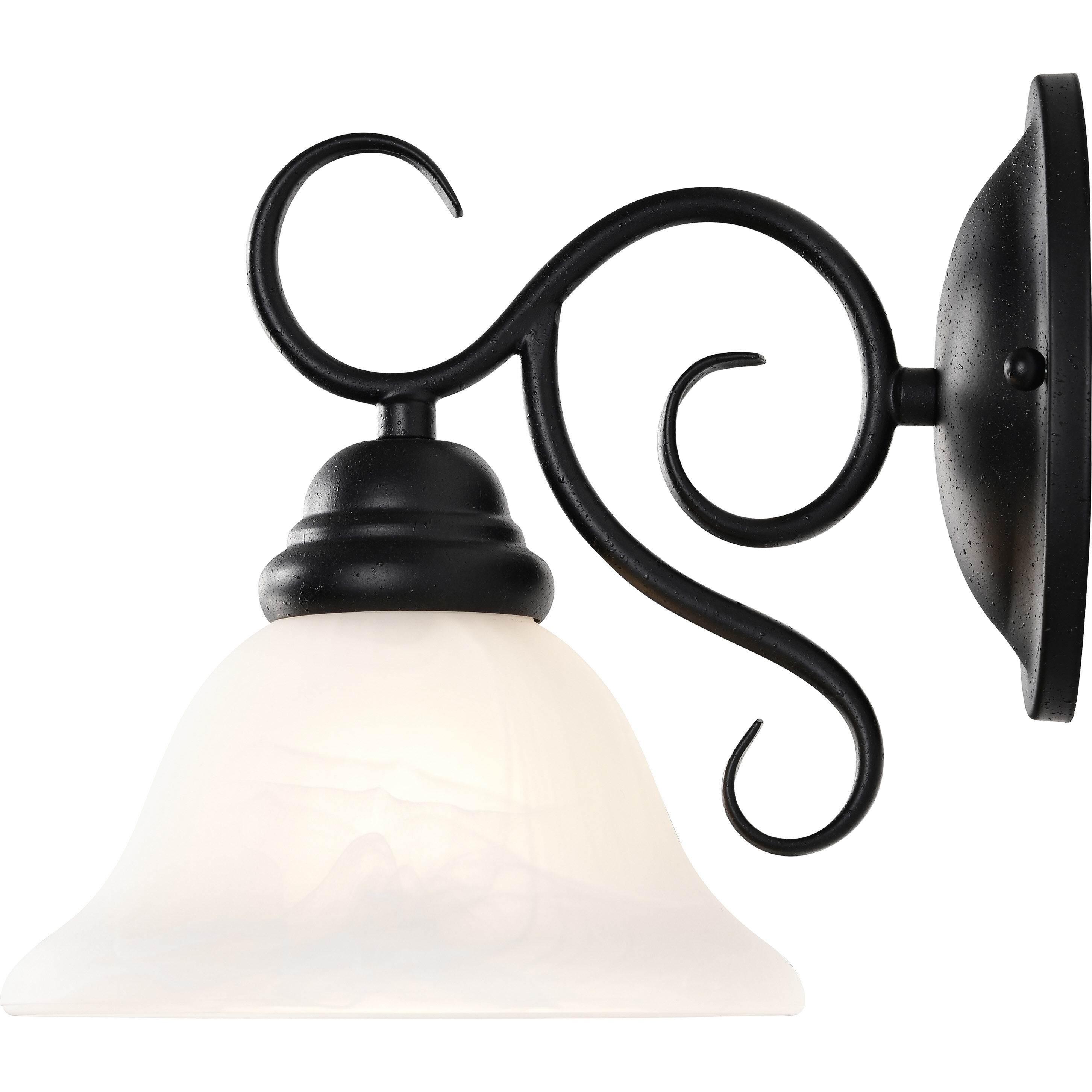 Castillo 1 Light 9 inch Textured Black Vanity Light Wall Light