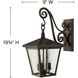 Heritage Trellis Outdoor Wall Mount Lantern in Regency Bronze, Non-LED, Medium