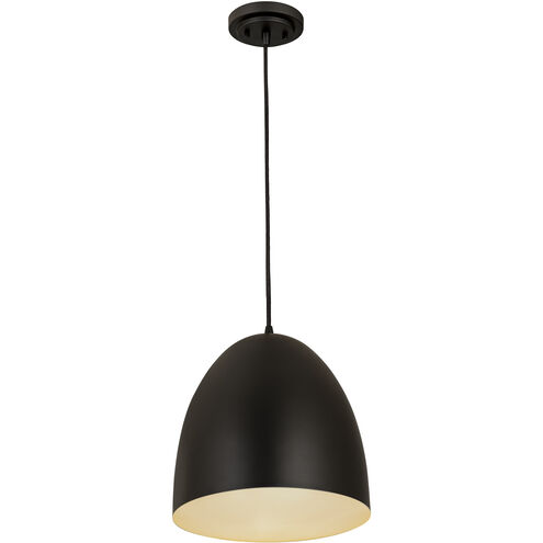 Z-Studio 1 Light 12 inch Satin Black Pendant Ceiling Light in Matte Black