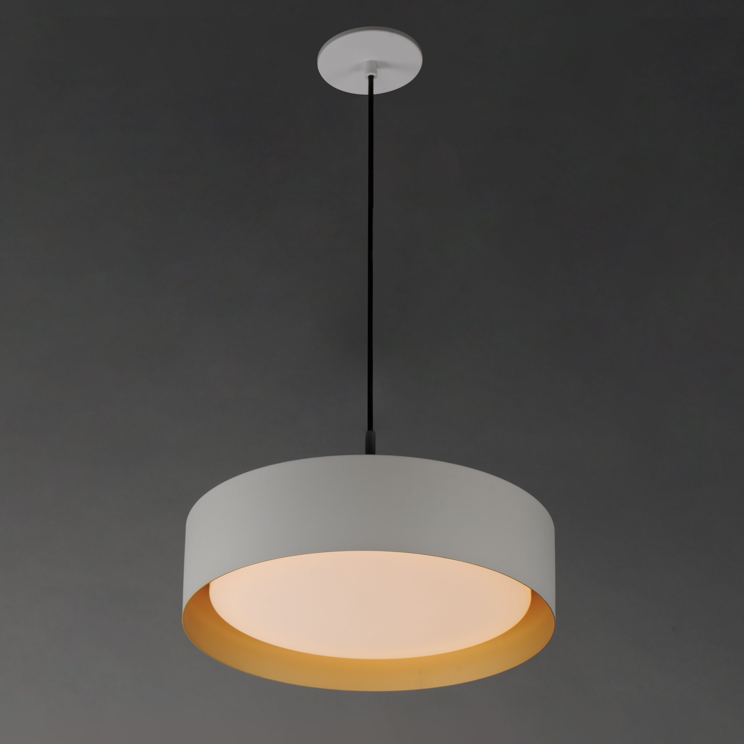Echo LED 16 inch White/Gold Single Pendant Ceiling Light