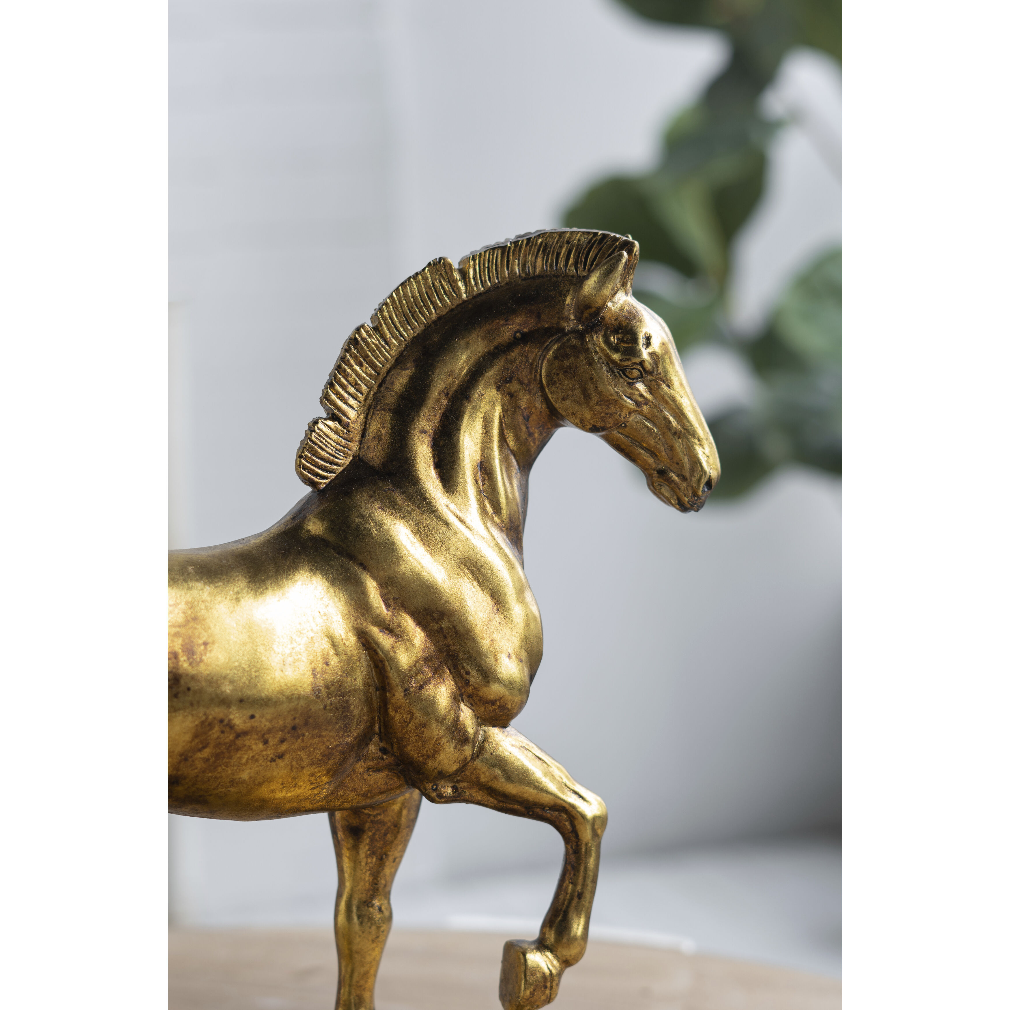 Anita 12.6 X 12.4 inch Sculpture