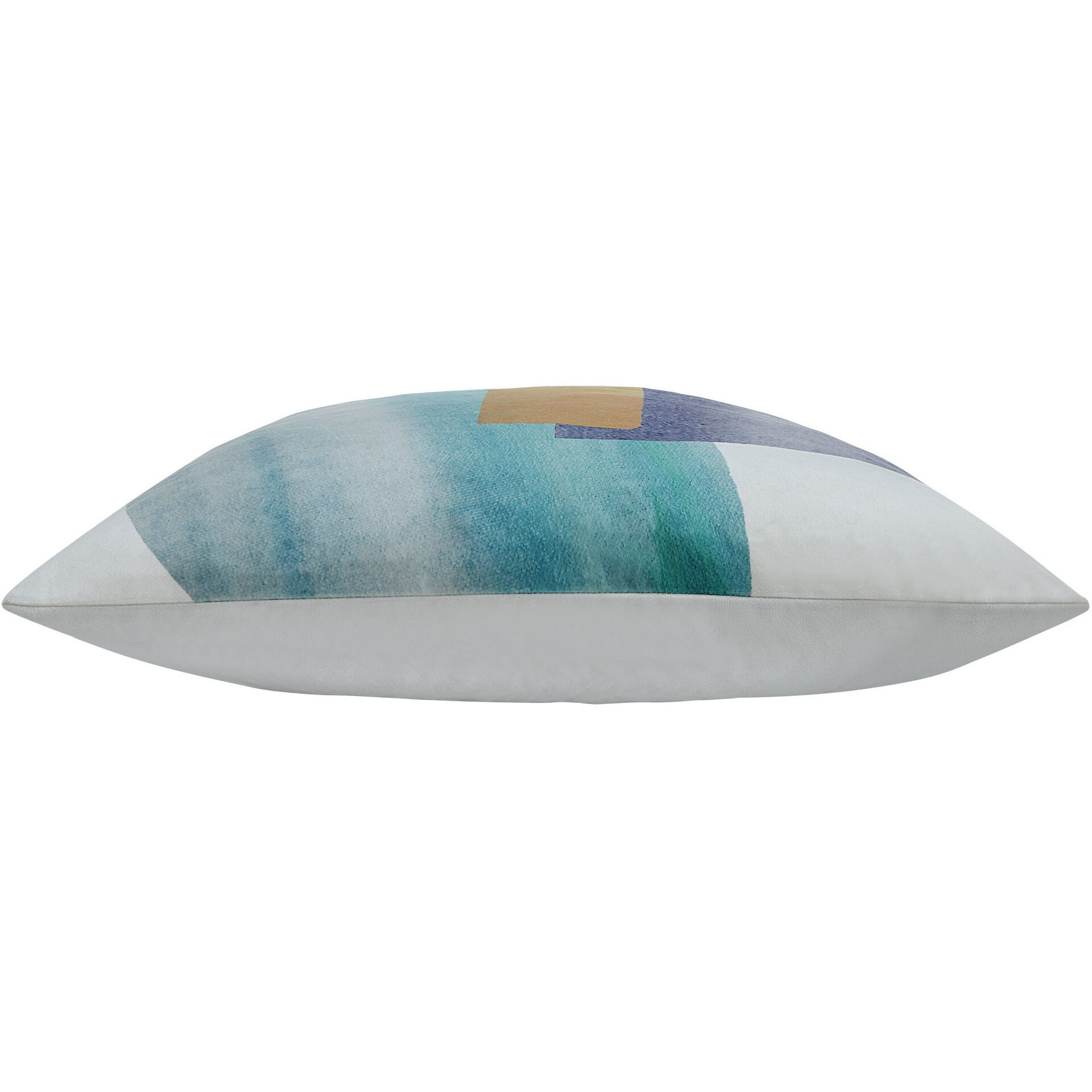 Louisa 20 inch Multi Indoor Pillow