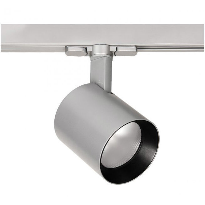 Lucio 1 Light 120 Platinum Track Head Ceiling Light in Flood, 85, 2700K