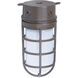 Brentwood 1 Light 4 inch Old Bronze Outdoor Ceiling Mount