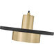 Ludo LED 12 inch Matte Black and Modern Gold Pendant Ceiling Light