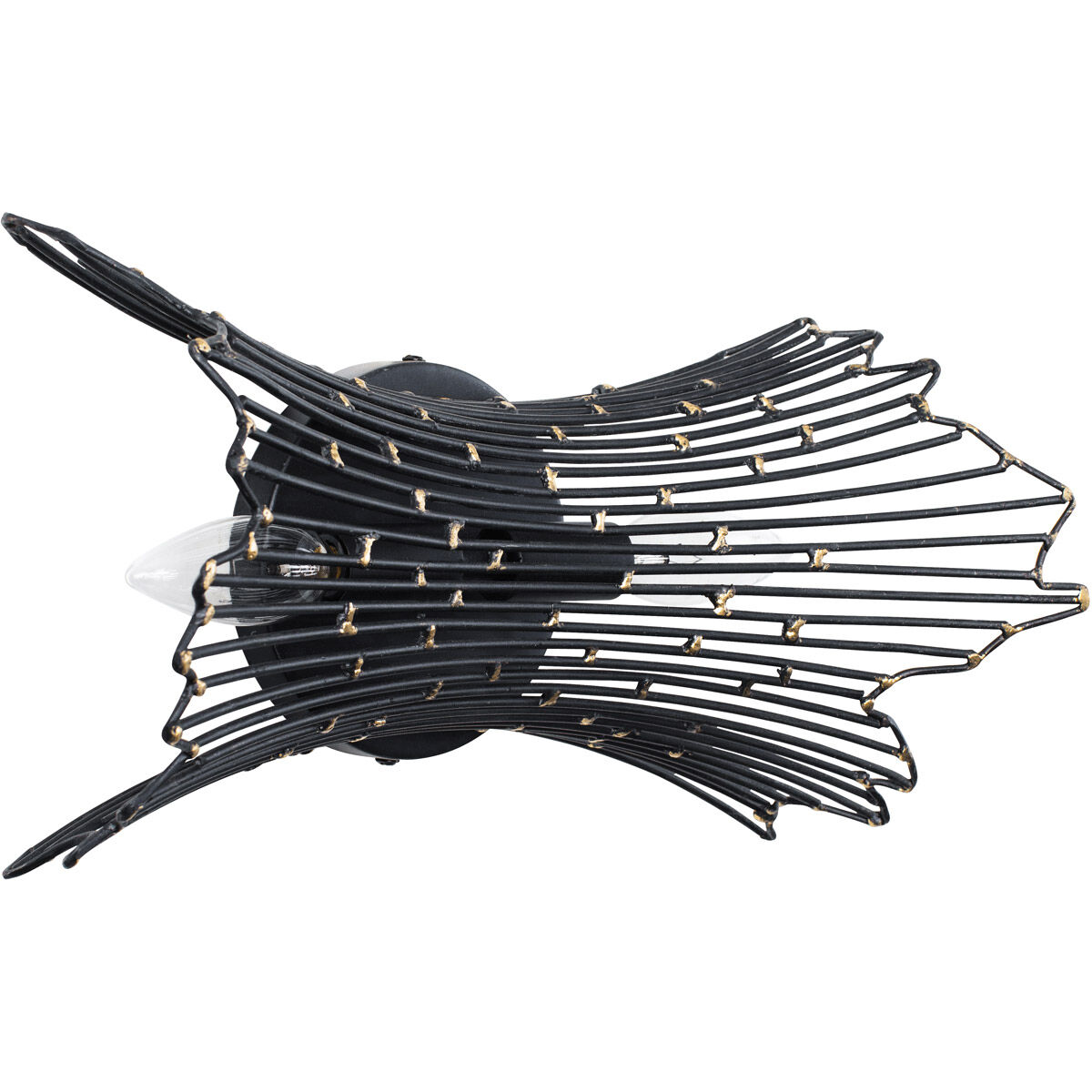 Rikki 2 Light 14 inch Carbon and Aged Gold Bath Vanity Light Wall Light