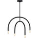 Drew & Jonathan Hadden 4 Light 22 inch Midnight Black Chandelier Ceiling Light