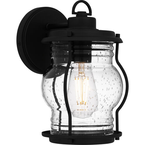 Luther Outdoor Wall Lantern, Small