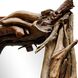 Rooted 44 X 32.5 inch Natural Teak Root Mirror
