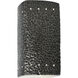 Ambiance LED 5.25 inch Hammered Pewter Wall Sconce Wall Light