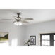 Renew Premier 52 inch Brushed Stainless Steel with Silver Blades Ceiling Fan
